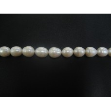 White Oval Pearls 10-11mm