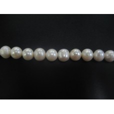 White Semi-Round Pearls 11-12mm