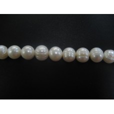 White Circle Pearls 10-11mm