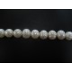 White Circle Pearls 10-11mm
