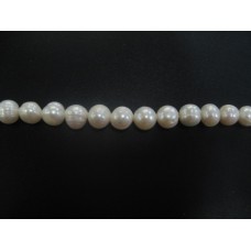White Circle Pearls 9-10mm