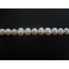 White Button Pearls 9-10mm