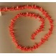 Red-Orange Coral Spikes