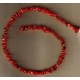 Deep Red Coral