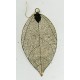 Gold Plated Laser Leaf Earings