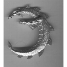 largest c dragon