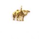 TWO CAMELS