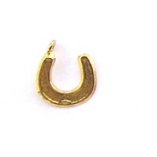 #1 HORSESHOE