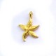 STARFISH