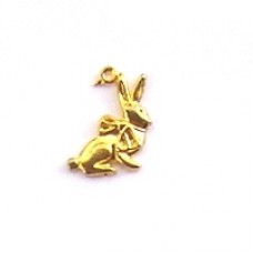 BUNNY RABBIT
