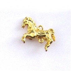 SHOW PONY CHARM