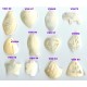 10x MOP PENDANTS 3