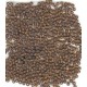 4MMRD matt   Colour  M63 BROWN