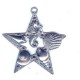 star with sea  life theme