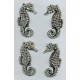 Flat Back Seahorse