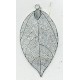 Silver Plated Laser Leaf Earings