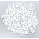 Small White Spears
