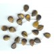 Tigereye 13 x 18mm Teardrop