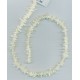 White Coral Spikes