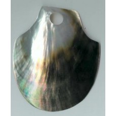 blacklip big spade shape