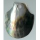 blacklip big spade shape
