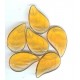 czec amber large leaf