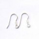 silver earwire with spring no ball