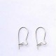 Safety Earwire Silver