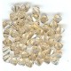 6mm Bicone Golden Shadow
