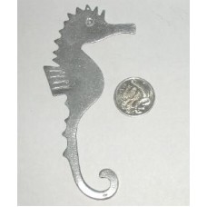 largest flat seahorse