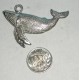 whale  H1016
