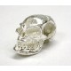 Pewter Casting Silver Plated Full Shaped Small Skull