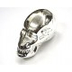 Plastic Silver Skull