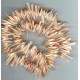 indian redlip pink shell spikes
