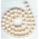 swarovski 8mm pearl creamrose