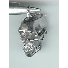 Skull with Jaw