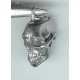 Skull with Jaw